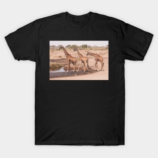 Serengeti Giraffe #10 T-Shirt